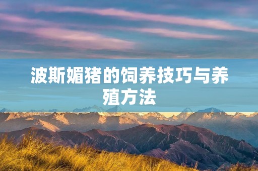 波斯媚猪的饲养技巧与养殖方法