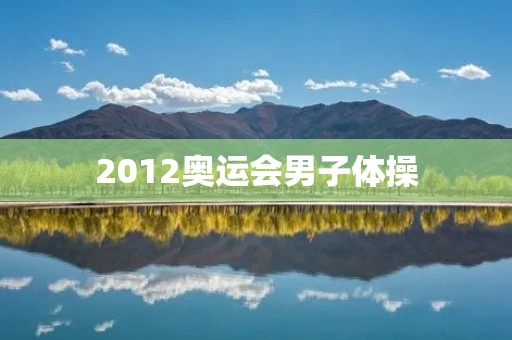 2012奥运会男子体操：中国队成功卫冕