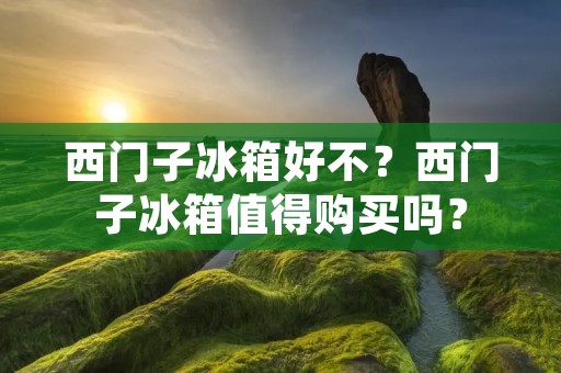 西门子冰箱好不?西门子冰箱值得购买吗?