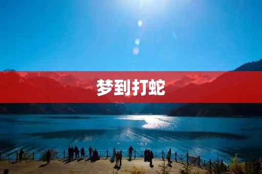 梦到打蛇