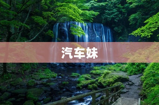 汽车妹:她们是谁? 汽车妹:她们是谁?