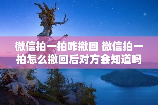 微信拍一拍咋撤回 微信拍一拍怎么撤回后对方会知道吗