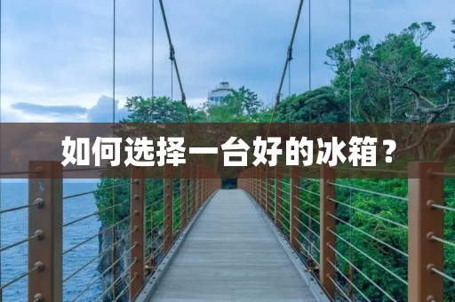 如何选择一台好的冰箱?