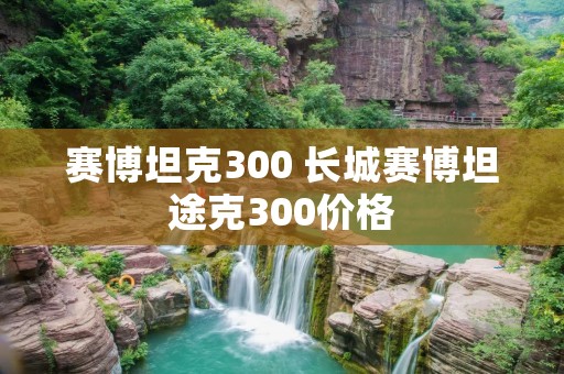 赛博坦克300 长城赛博坦途克300价格