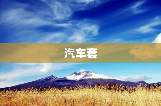 汽车套:如何选择最适合自己的车内装饰? 汽车套:如何选择最适合自己的车内装饰?