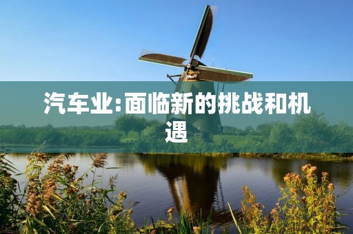汽车业:面临新的挑战和机遇 汽车业:面临新的挑战和机遇