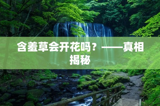 含羞草会开花吗?——真相揭秘