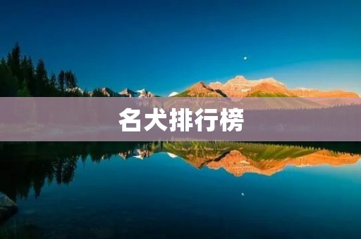 名犬排行榜:一览全球最受欢迎的犬种