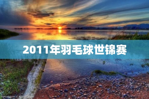 2011年羽毛球世锦赛:中国队斩获六金 2011年羽毛球世锦赛:中国队斩获六金