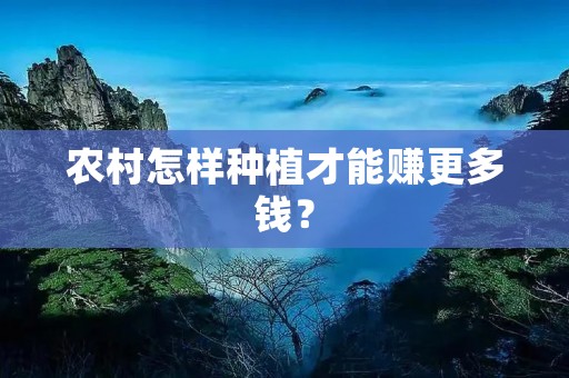 农村怎样种植才能赚更多钱?