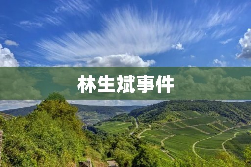 林生斌事件:一场涉及权力、贪腐和道德的风暴