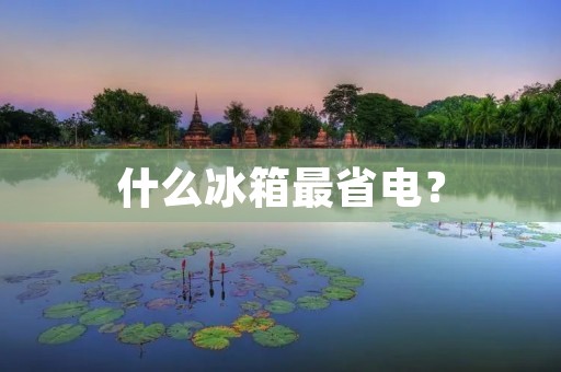 什么冰箱最省电? 什么冰箱最省电?