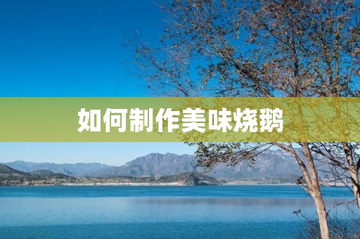 如何制作美味烧鹅