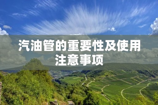 汽油管的重要性及使用注意事项