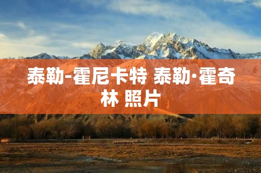 泰勒-霍尼卡特 泰勒·霍奇林 照片