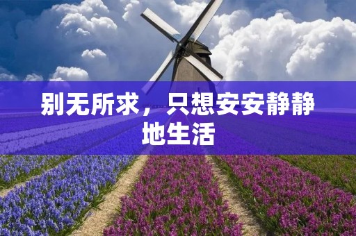 别无所求，只想安安静静地生活