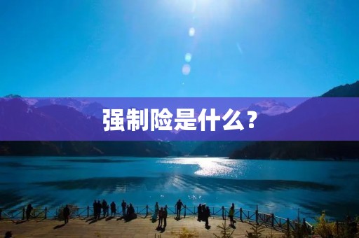 强制险是什么？