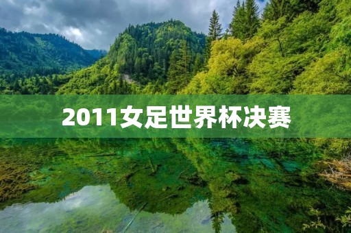 2011女足世界杯决赛：日本女足历史性夺冠