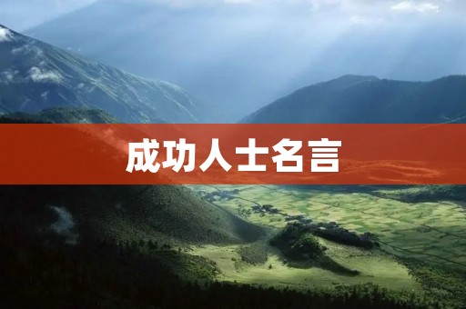 成功人士名言:智慧与勇气的结晶