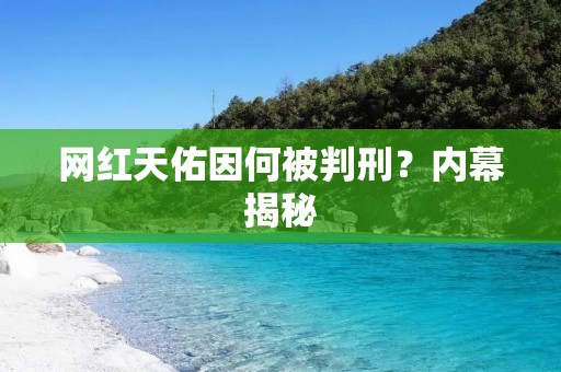 网红天佑因何被判刑？内幕揭秘