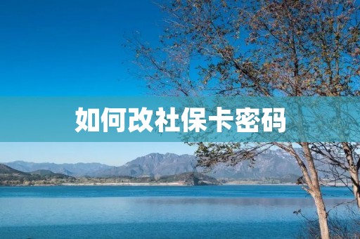 如何改社保卡密码