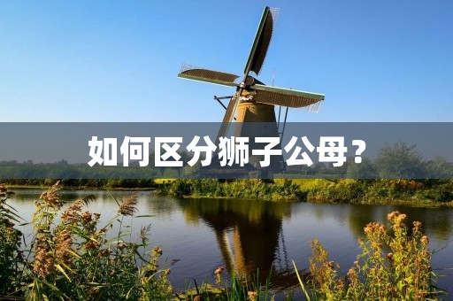 如何区分狮子公母? 如何区分狮子公母?