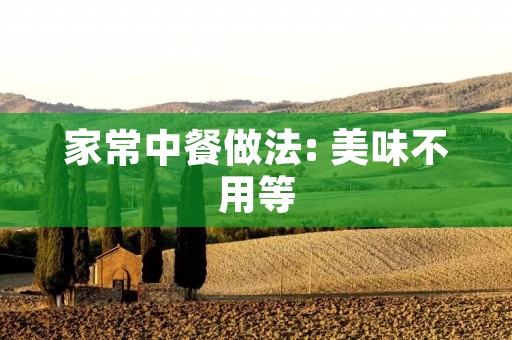 家常中餐做法: 美味不用等 家常中餐做法: 美味不用等