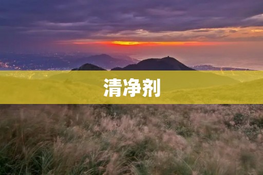 清净剂:让你的家居环境更加健康 清净剂:让你的家居环境更加健康