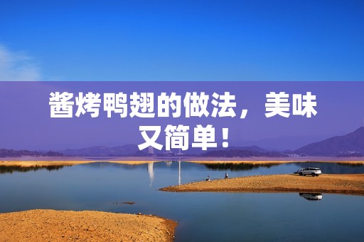 酱烤鸭翅的做法,美味又简单! 酱烤鸭翅的做法,美味又简单!