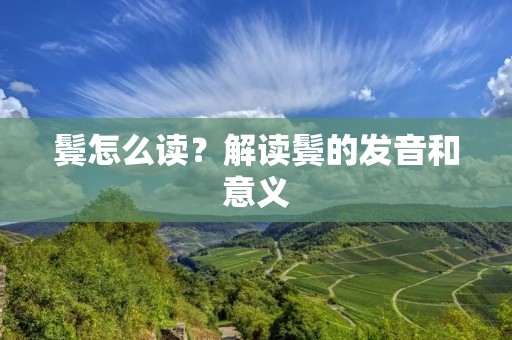 鬓怎么读？解读鬓的发音和意义