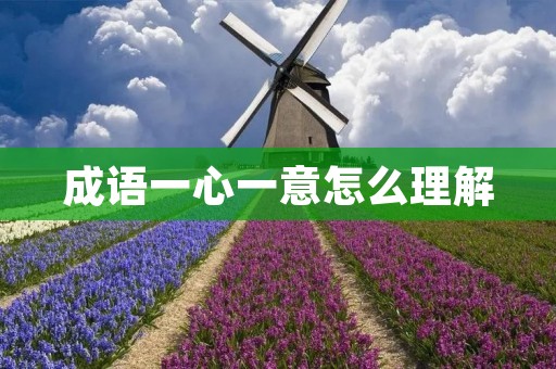 成语一心一意怎么理解