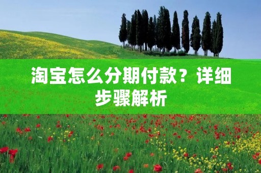 淘宝怎么分期付款？详细步骤解析