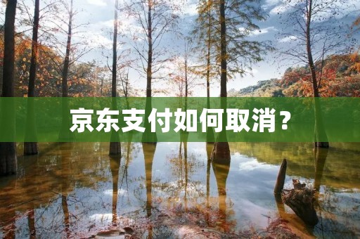 京东支付如何取消？