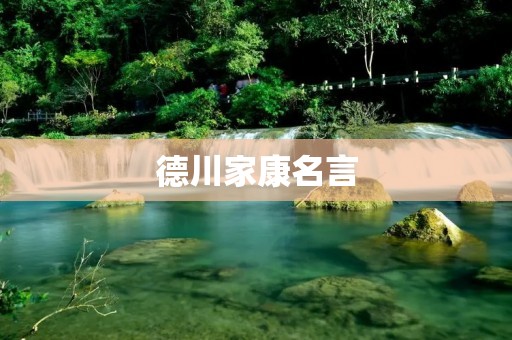 德川家康名言:掌握自己的命运