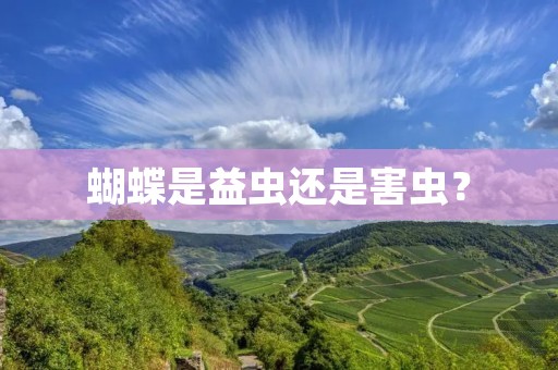 蝴蝶是益虫还是害虫? 蝴蝶是益虫还是害虫?