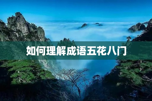 如何理解成语五花八门