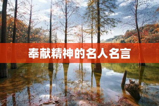 奉献精神的名人名言
