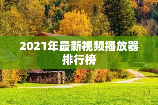 2021年最新视频播放器排行榜