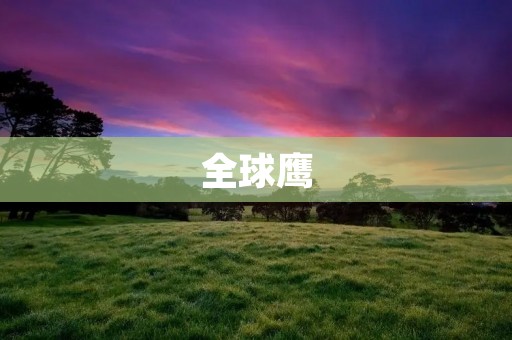 全球鹰:美国的新型无人侦察机 全球鹰:美国的新型无人侦察机