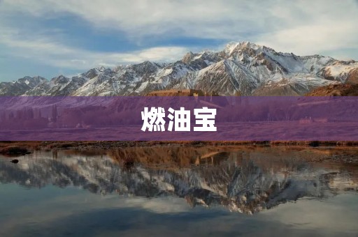 燃油宝:让你的爱车更省油,更环保 燃油宝:让你的爱车更省油,更环保