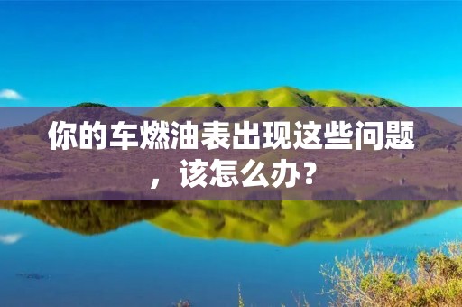 你的车燃油表出现这些问题,该怎么办? 你的车燃油表出现这些问题,该怎么办?