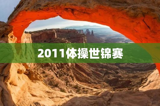 2011体操世锦赛：中国队勇夺13金