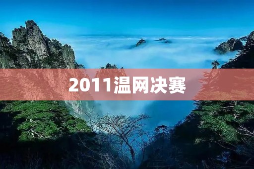 2011温网决赛：纳达尔VS德约科维奇