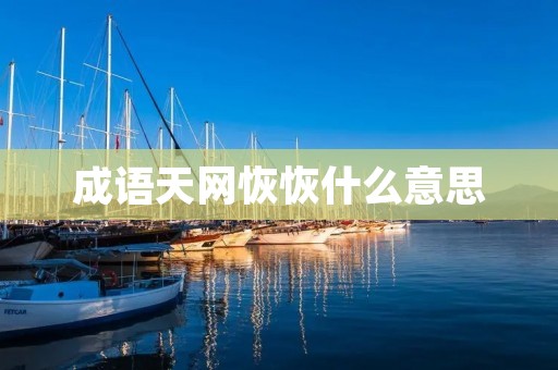 成语天网恢恢什么意思