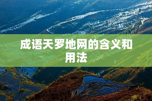 成语天罗地网的含义和用法