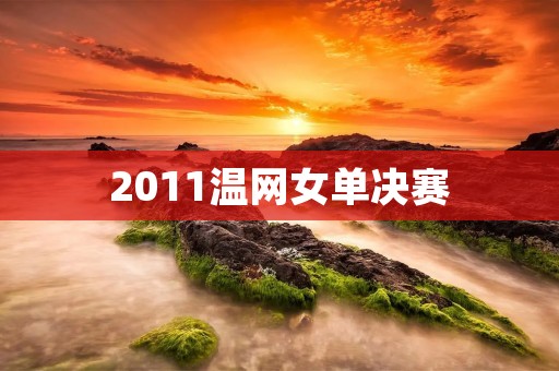 2011温网女单决赛：小威廉姆斯横扫萨芙琳娜，第四次夺冠