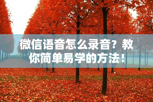 微信语音怎么录音?教你简单易学的方法! 微信语音怎么录音?教你简单易学的方法!