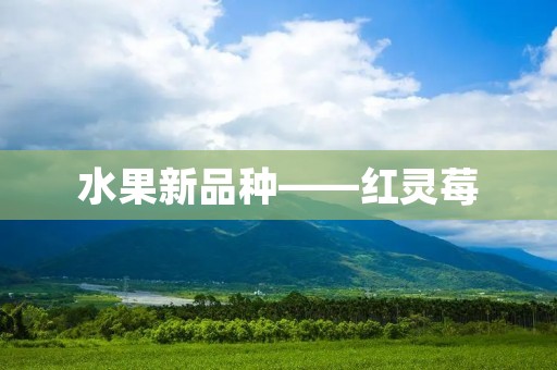 水果新品种——红灵莓