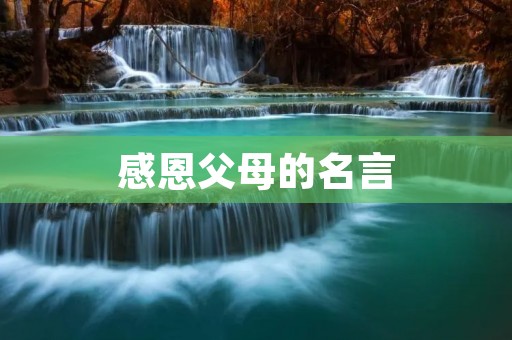 感恩父母的名言