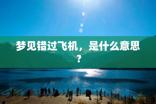 梦见错过飞机，是什么意思？